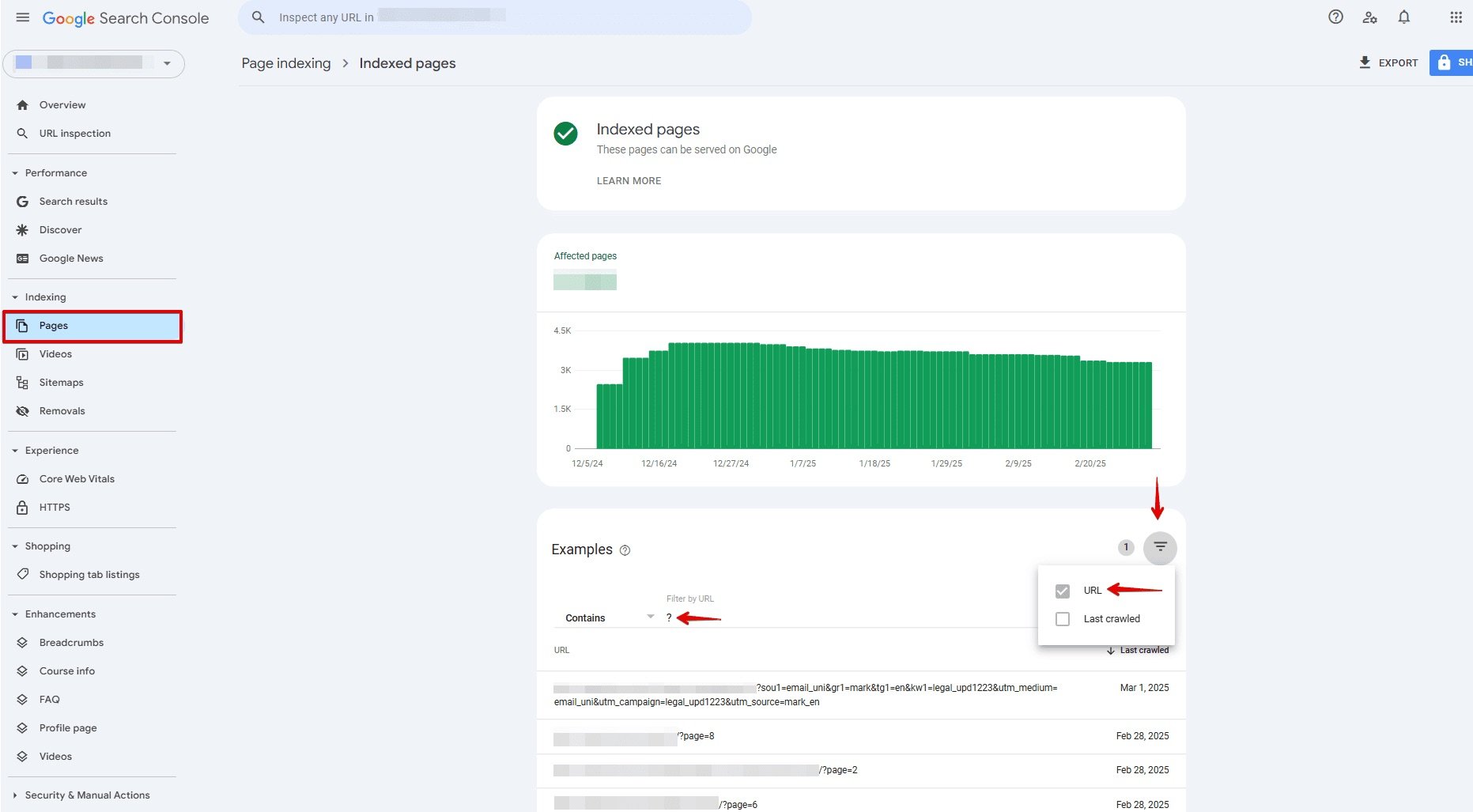 URLs mit Parametern über die Google Search Console überwachen