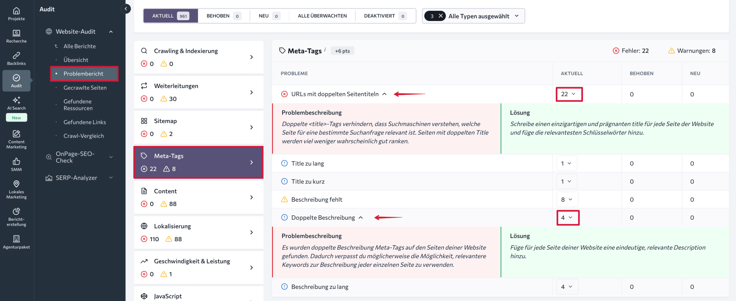 Doppelte Meta-Tags im Problemebericht des Website-Audit-Tools