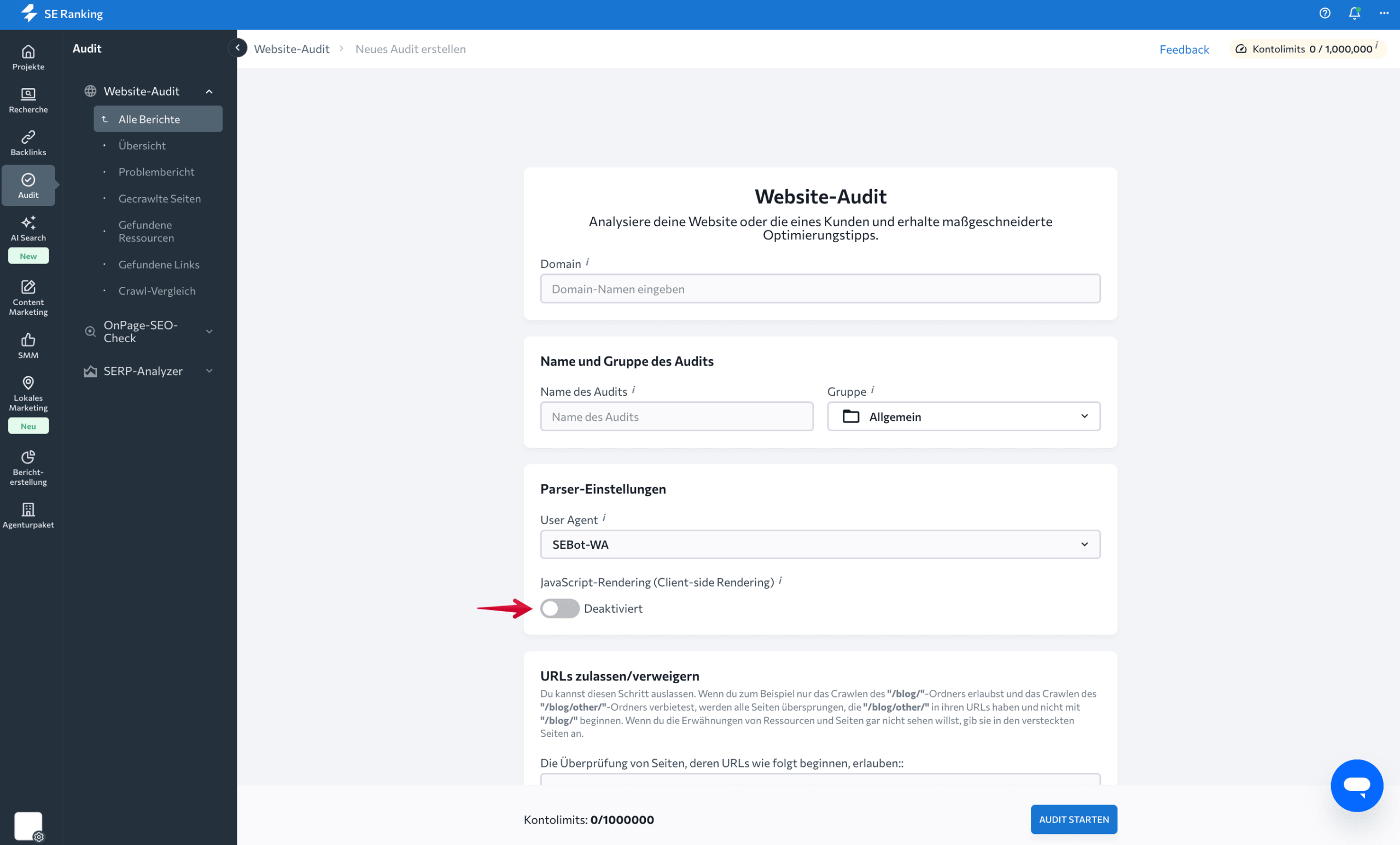 Website-Audit-Assistent