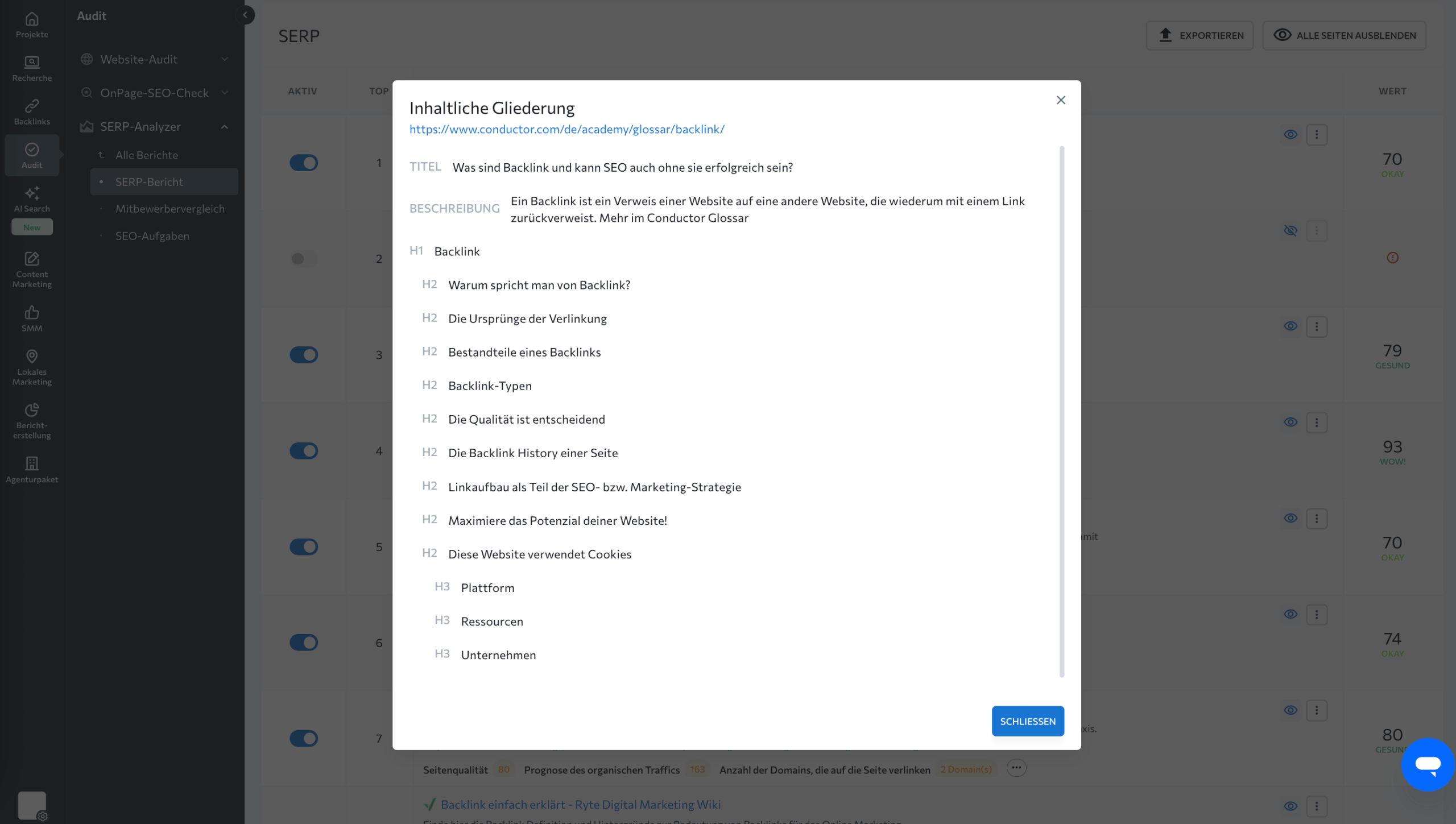 Inhaltsanalyse mit dem SERP-Analyzer