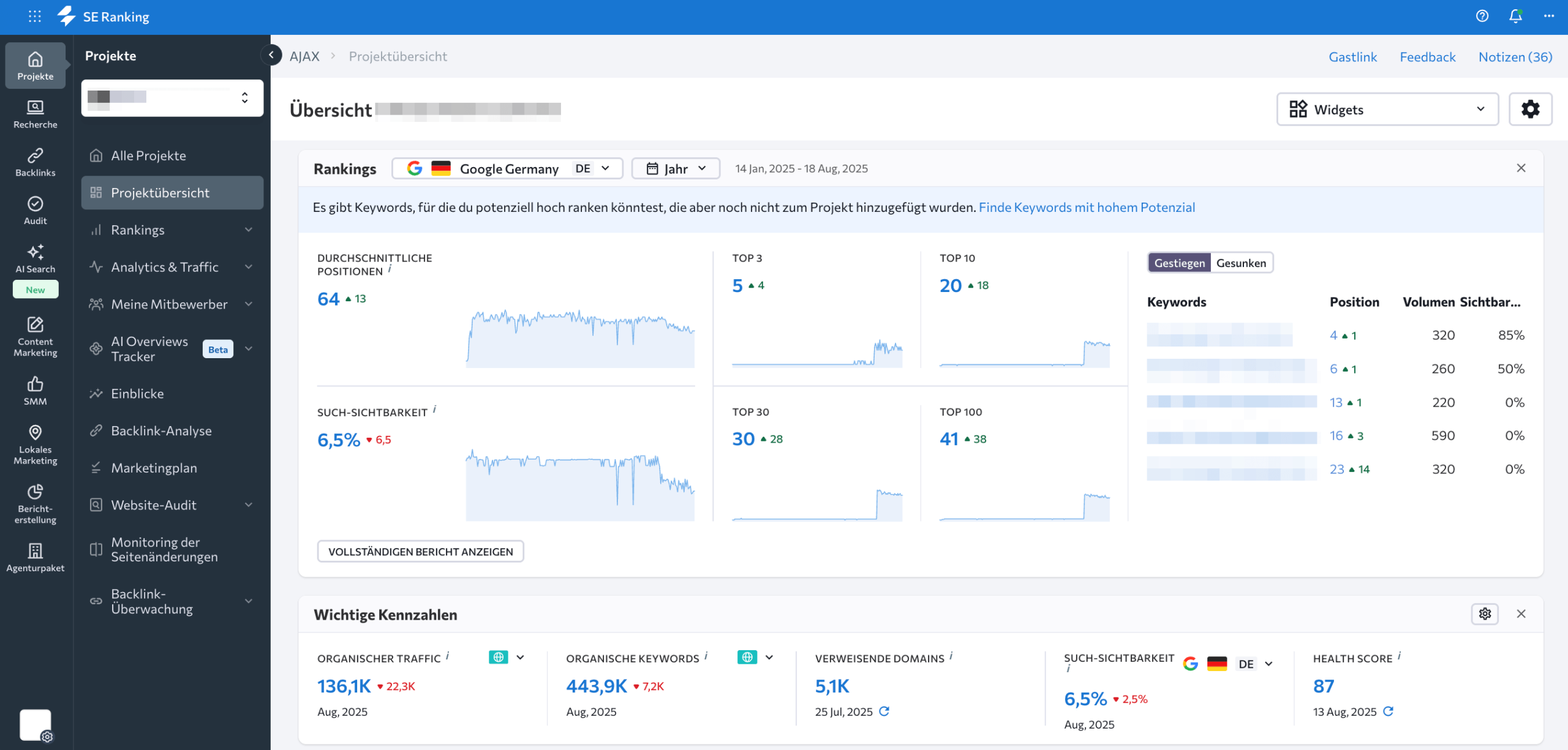 SE Ranking Dashboard