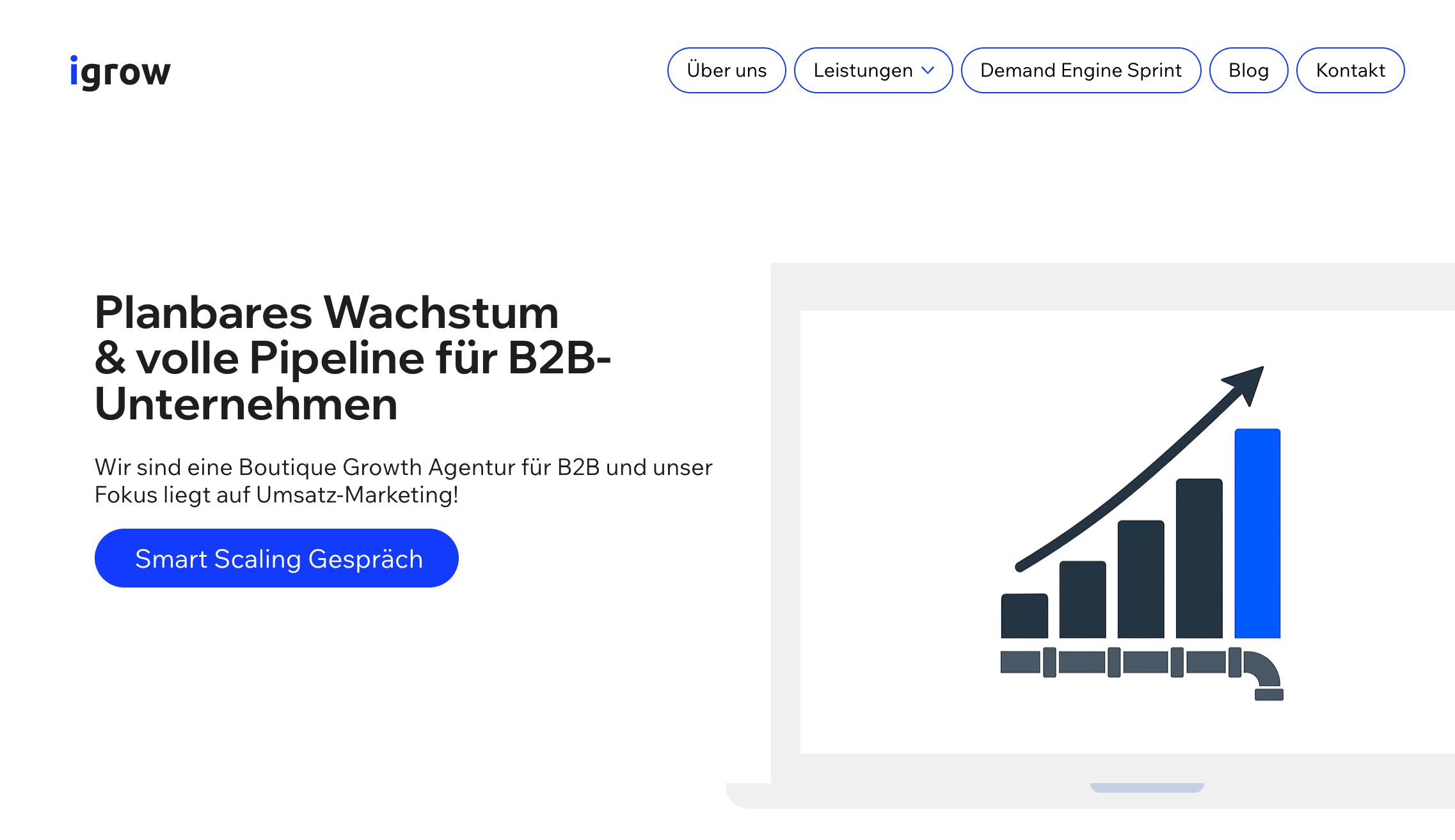 iGrow Agentur Website 