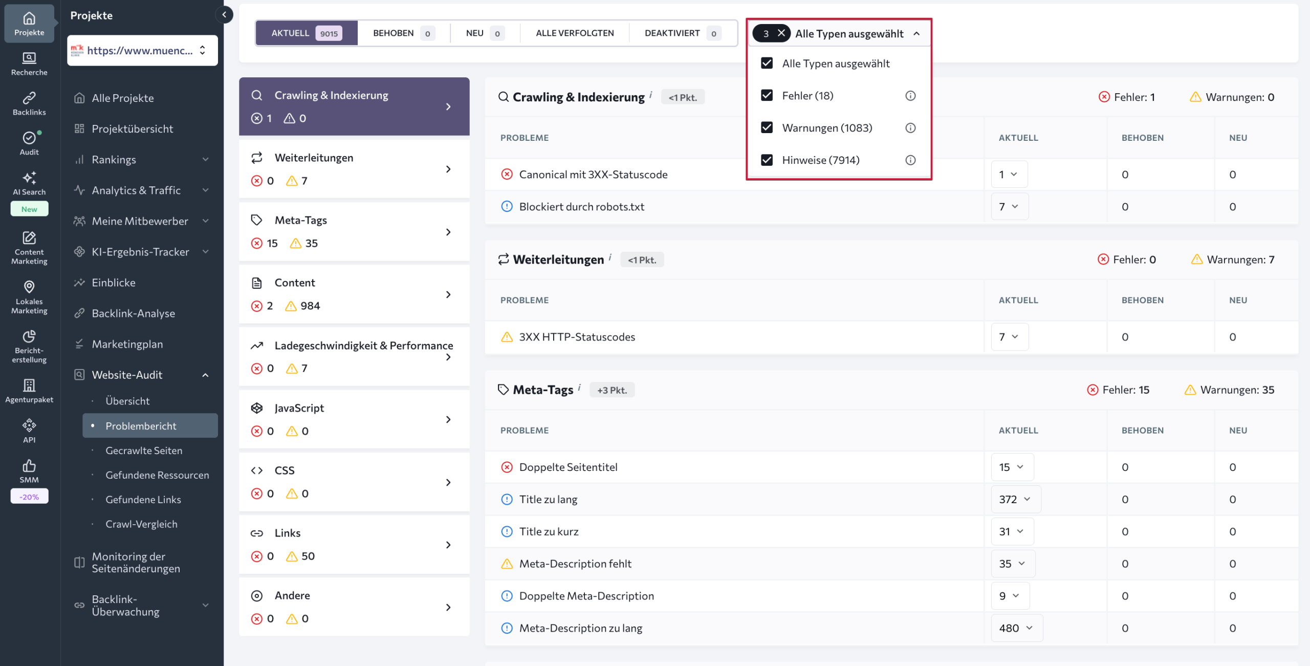 SE Ranking Audit-Problembericht SE Ranking Problembericht