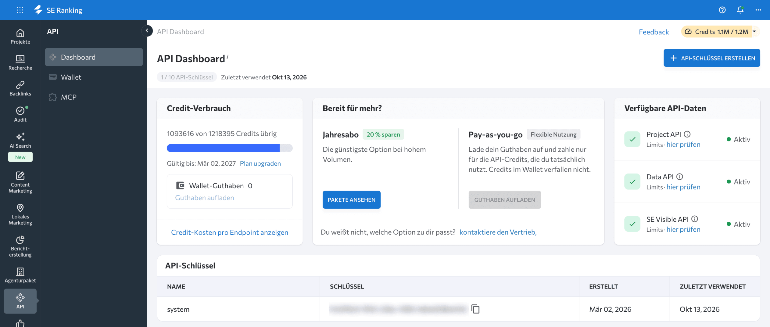 API-Dashboard von SE Ranking Dashboard der SE Ranking API
