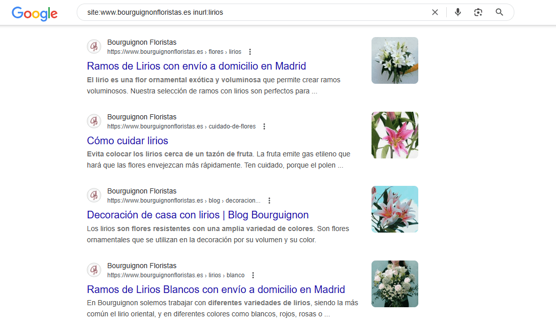 site:www.bourguignonfloristas.es inurl:lirios