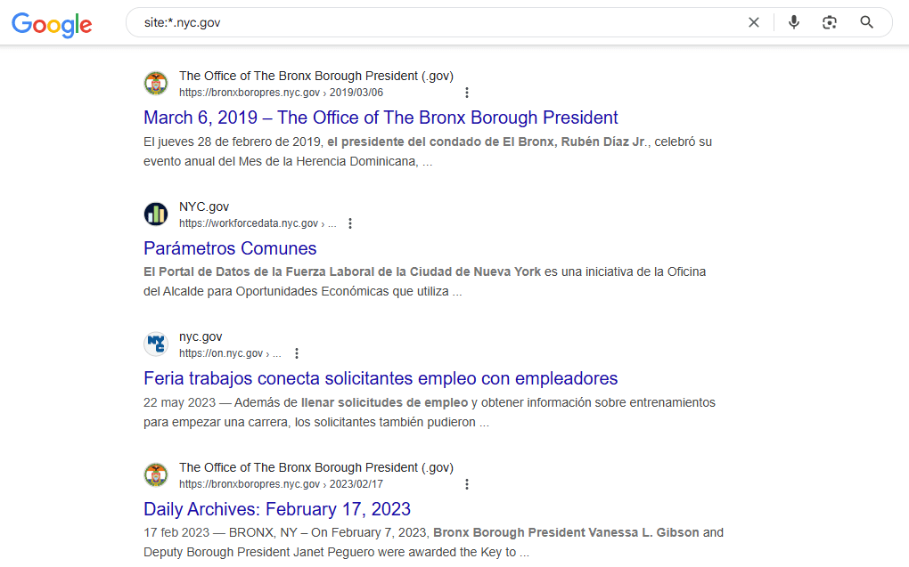 site:*.nyc.gov