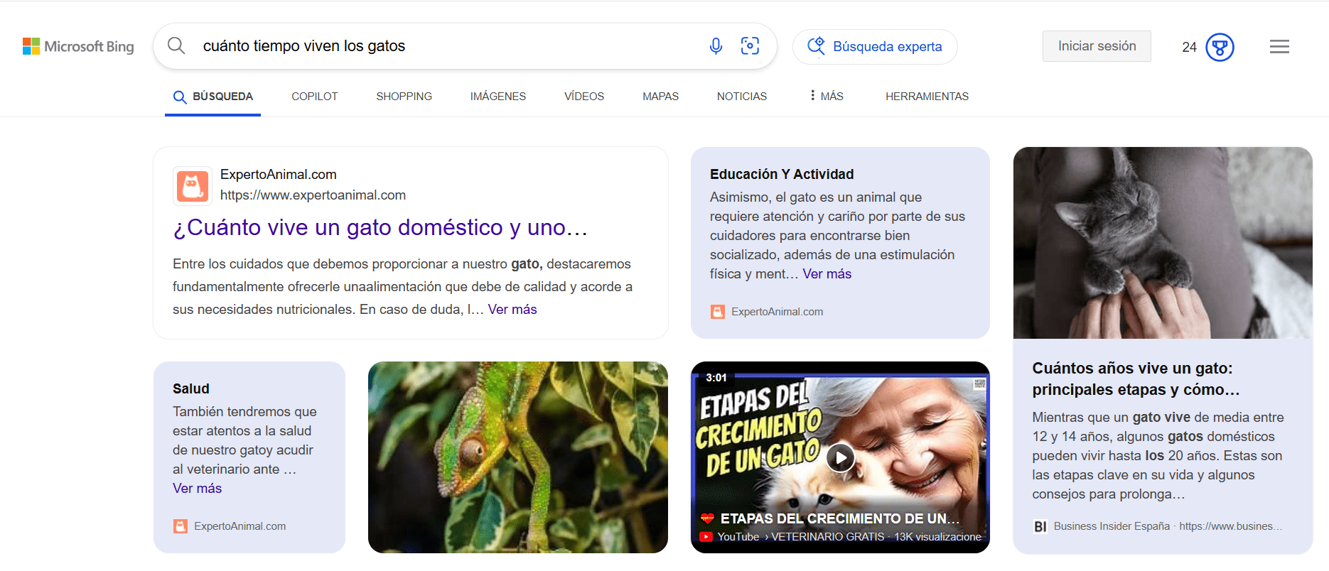 Nuevo diseño de Bing generado por IA