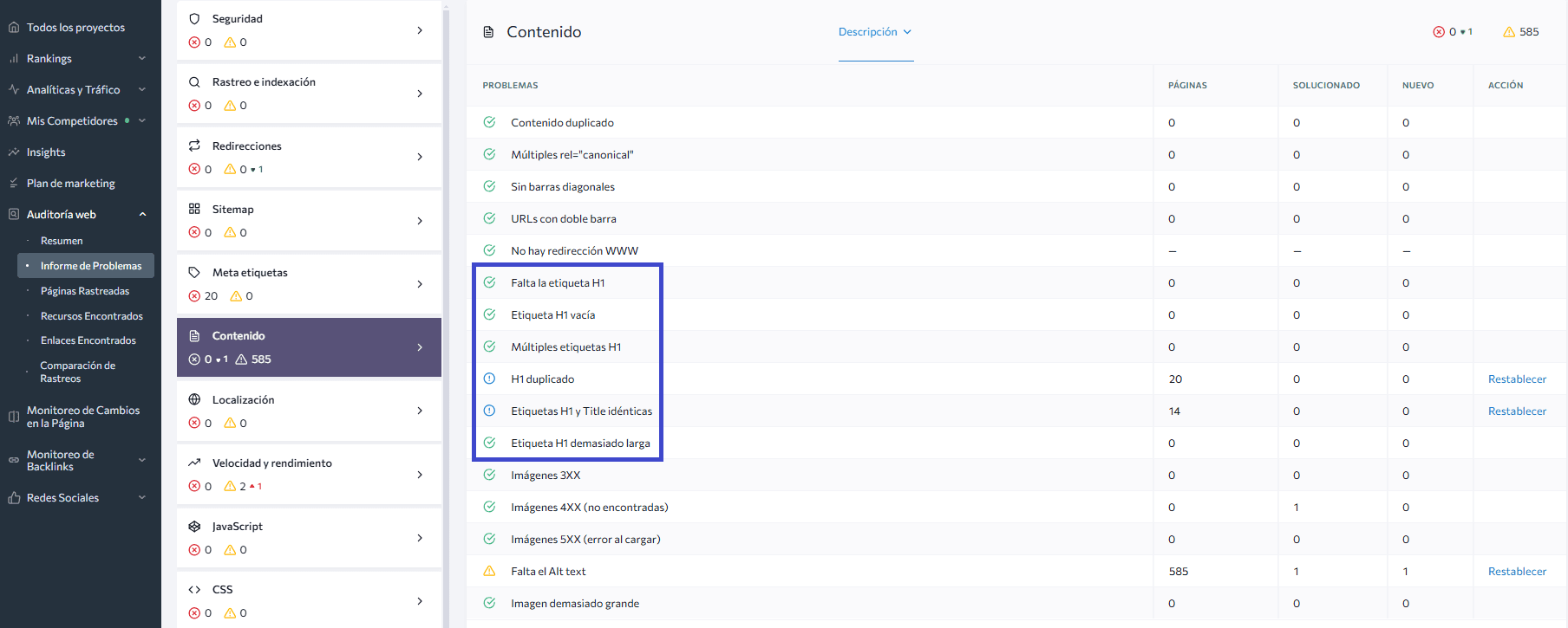 Informe de problemas de accesibilidad y encabeados html de la auditoría web