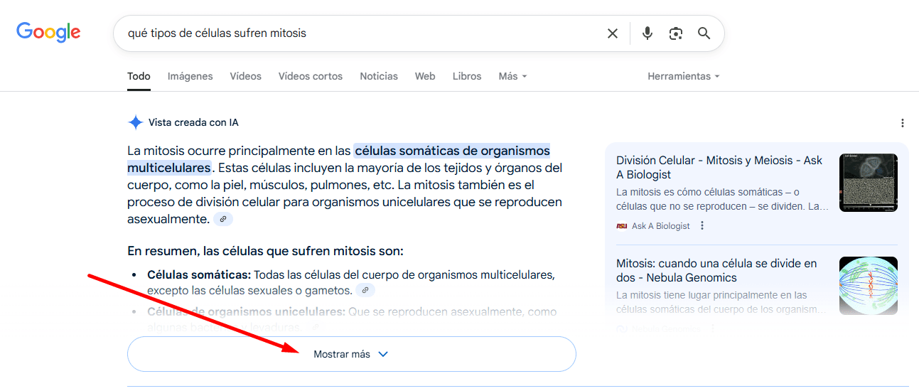 El botón Mostrar más de AI Overviews