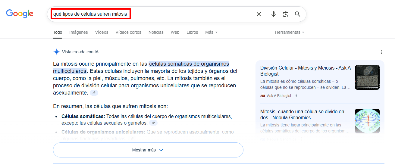 Consultas que activaron una vista creada con IA