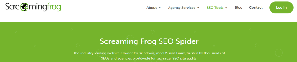 Screaming frog Spider
