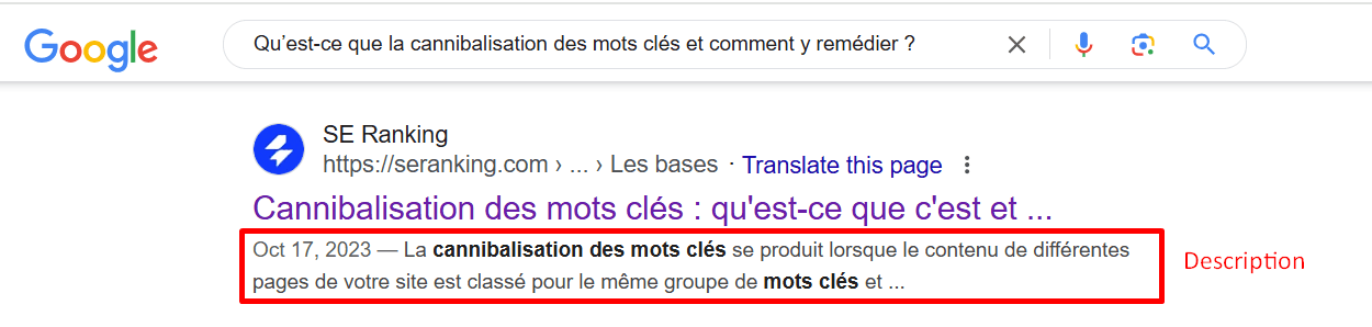 Exemple de balise de méta-description d'extrait