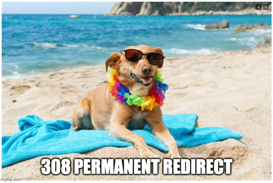308 Permanent Redirect meme