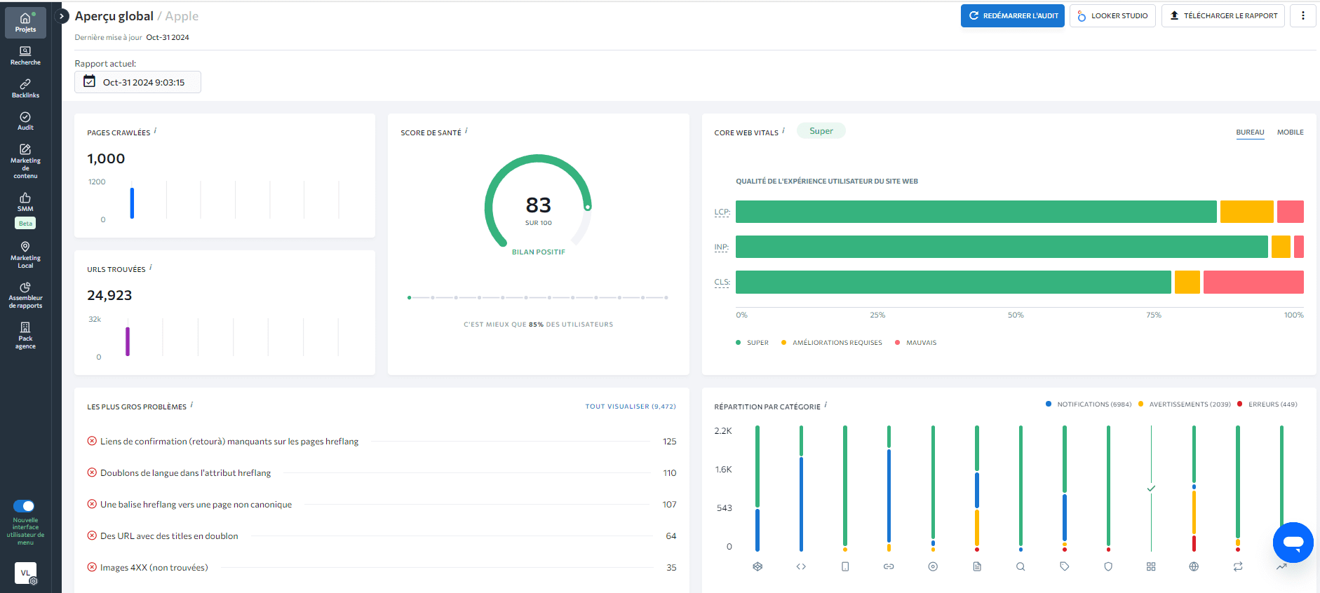 Aperçu du rapport d'audit du site Web