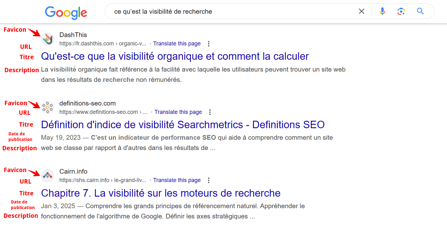 Exemple de SERP