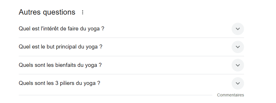 La section «People also ask»