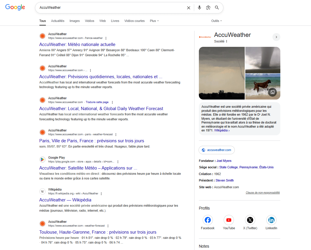Exemple de Knowledge Graph de Google
