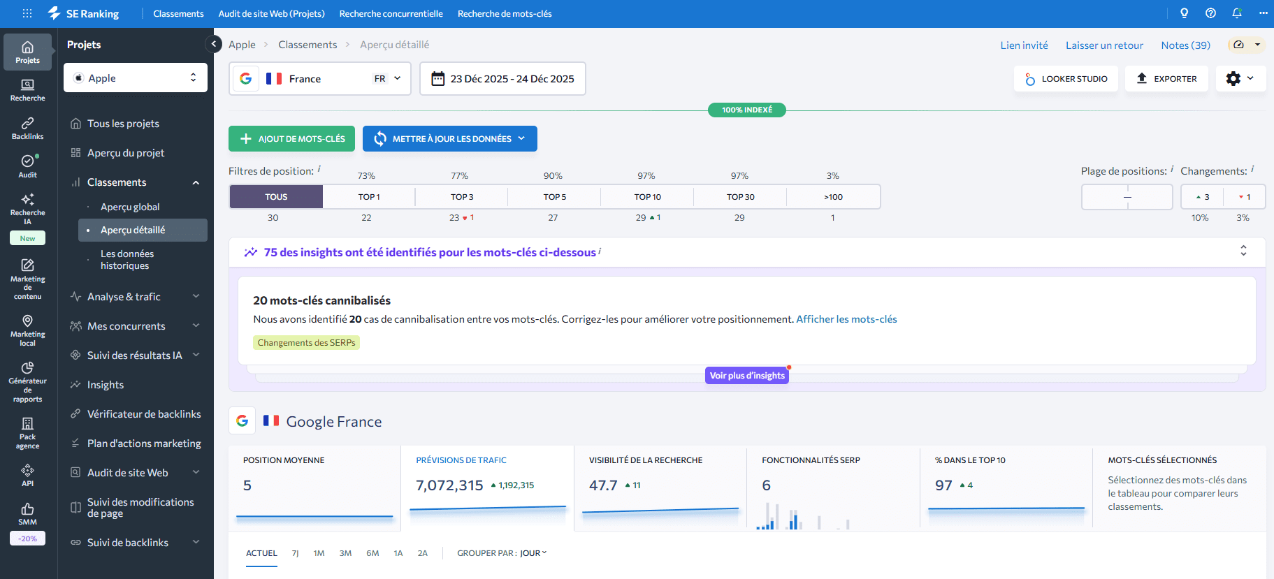 Interface de SE Ranking