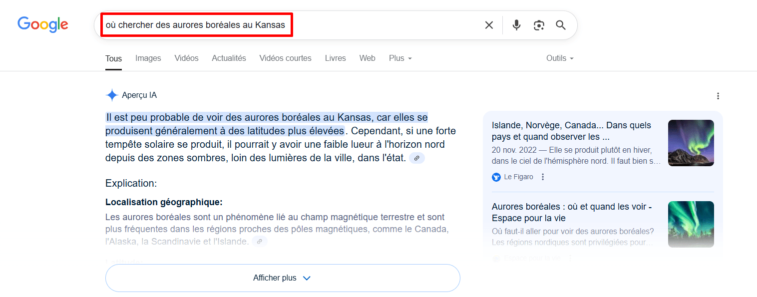 Exemple d’aperçu de l’IA