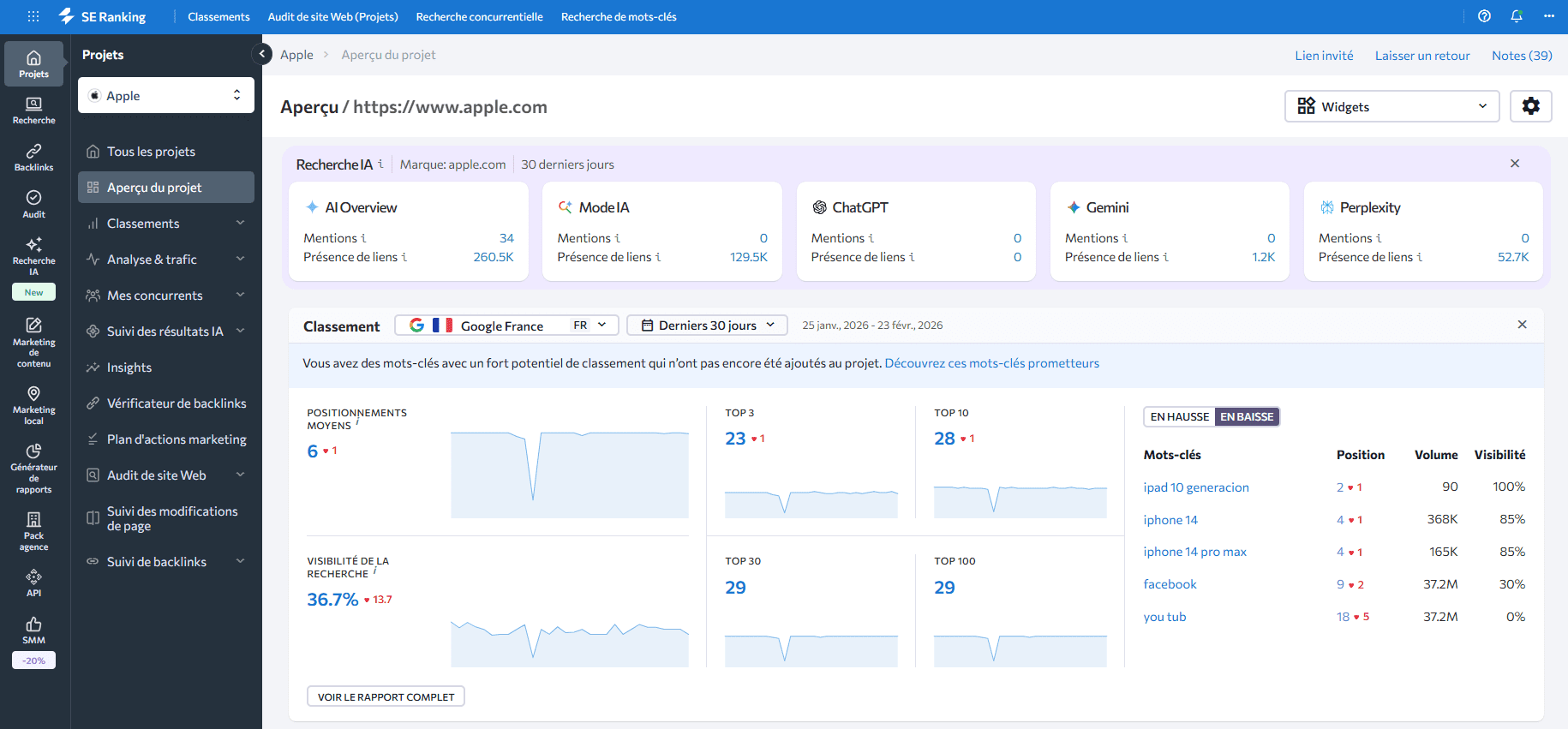 Interface de SE Ranking