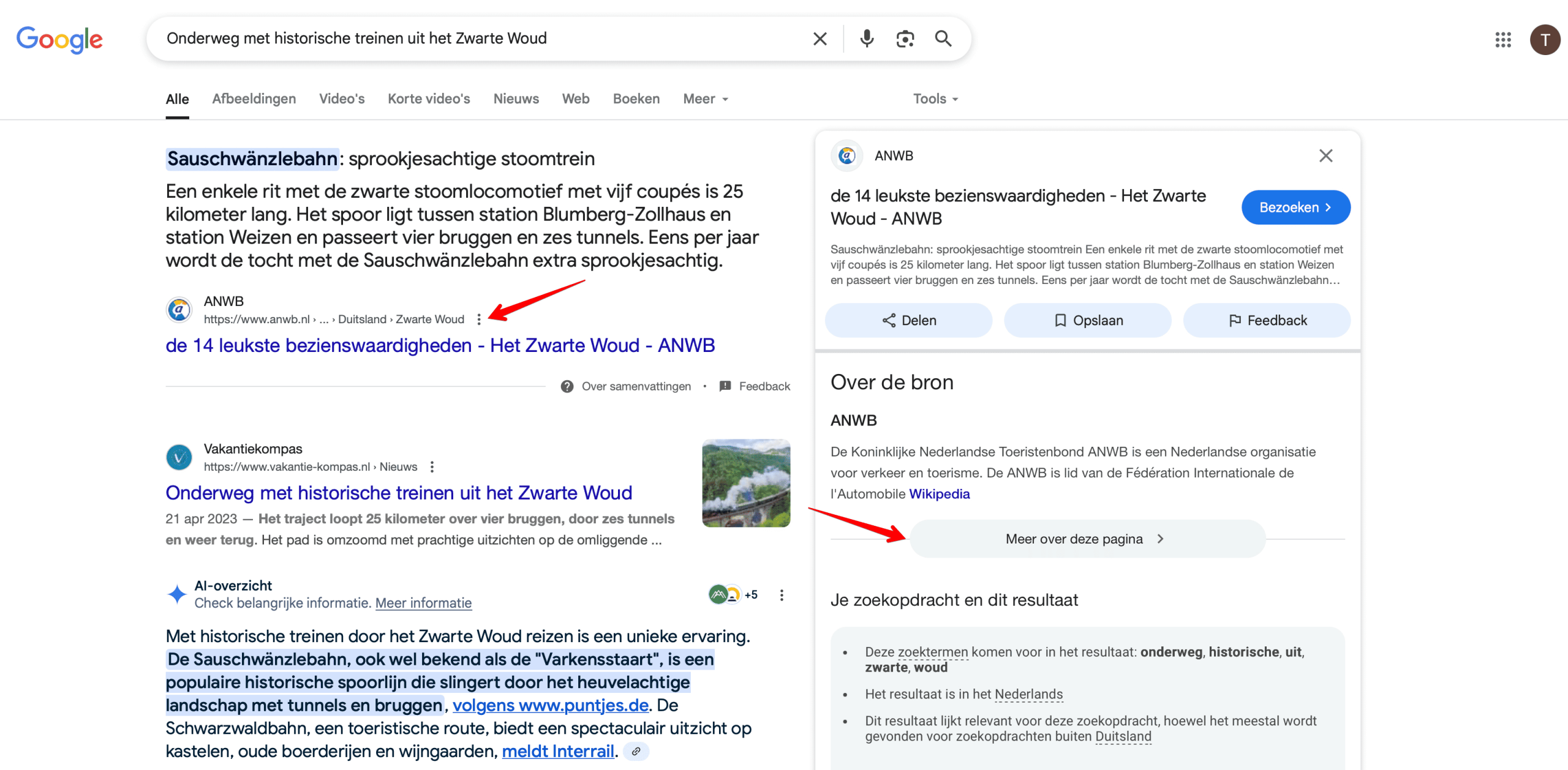 How to open More About This Page tab
