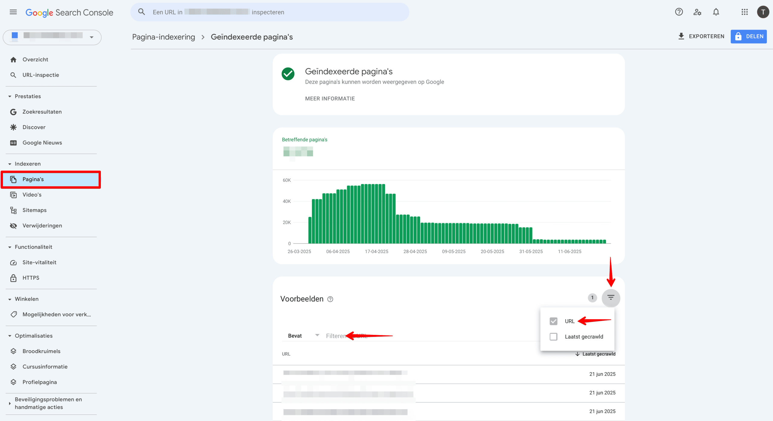 Monitoring URLs with parameters via GSC