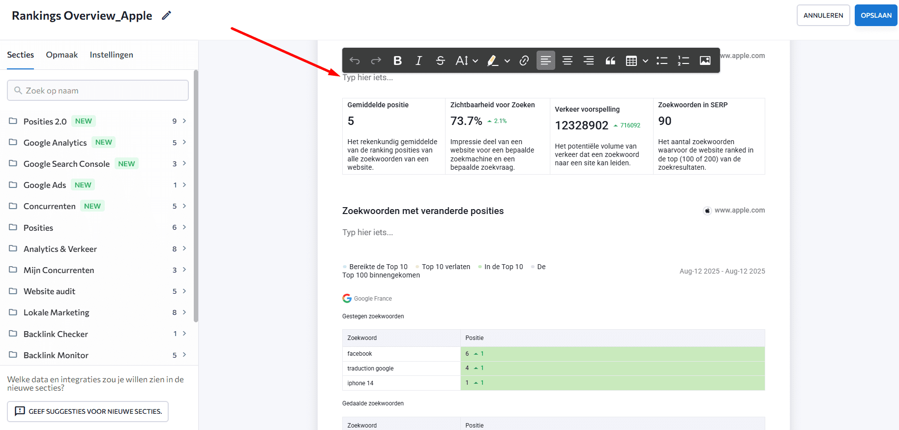 Commentaarsectie in SEO-rapport