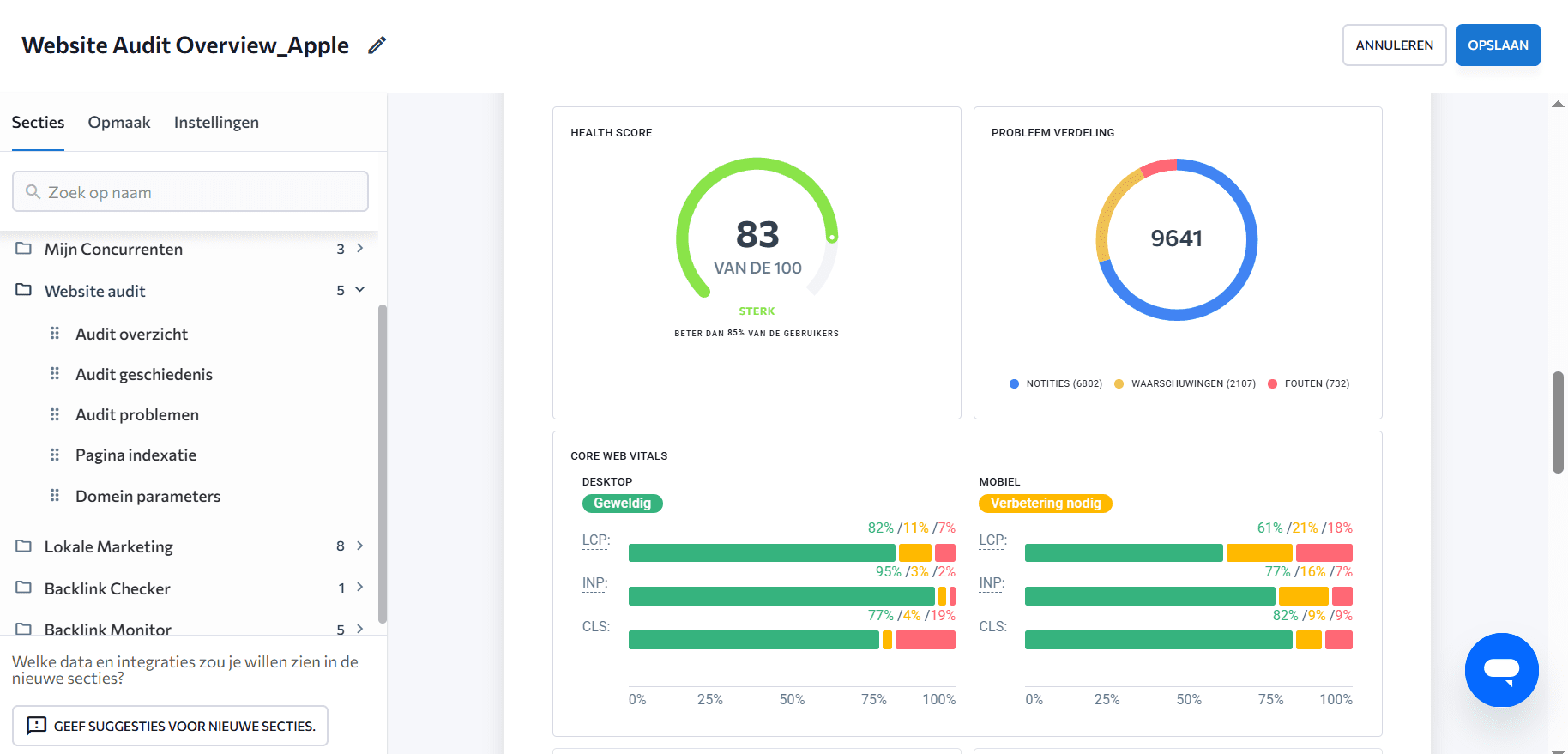 Website auditrapport van SE Ranking