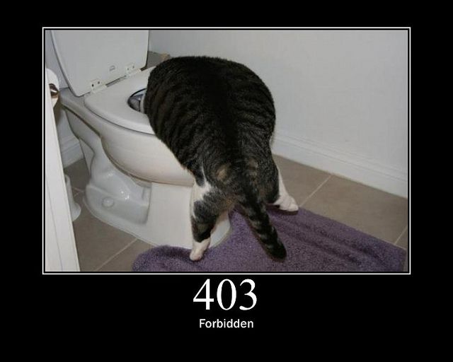 403 forbidden