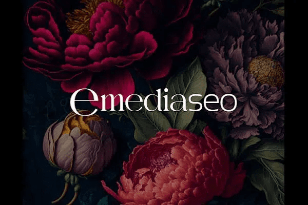 Emedia SEO Limited