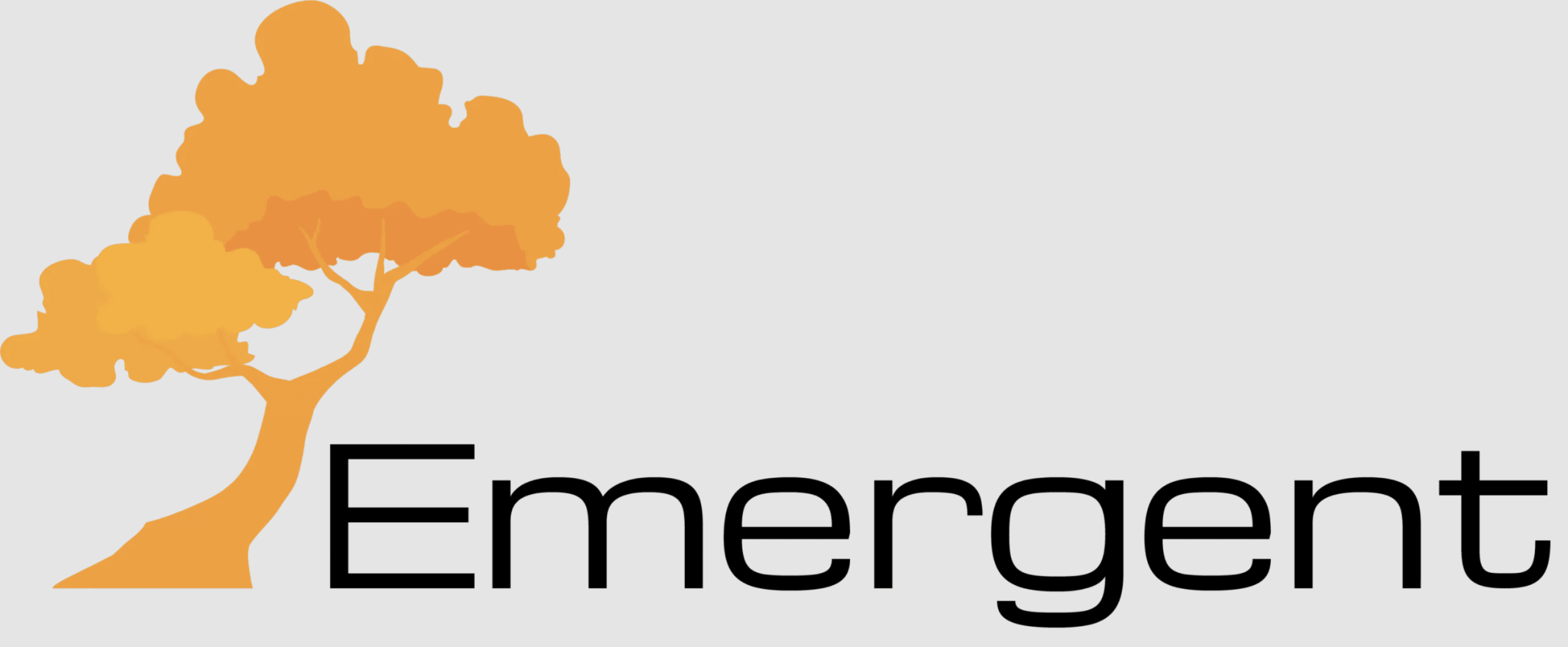Emergent Brands