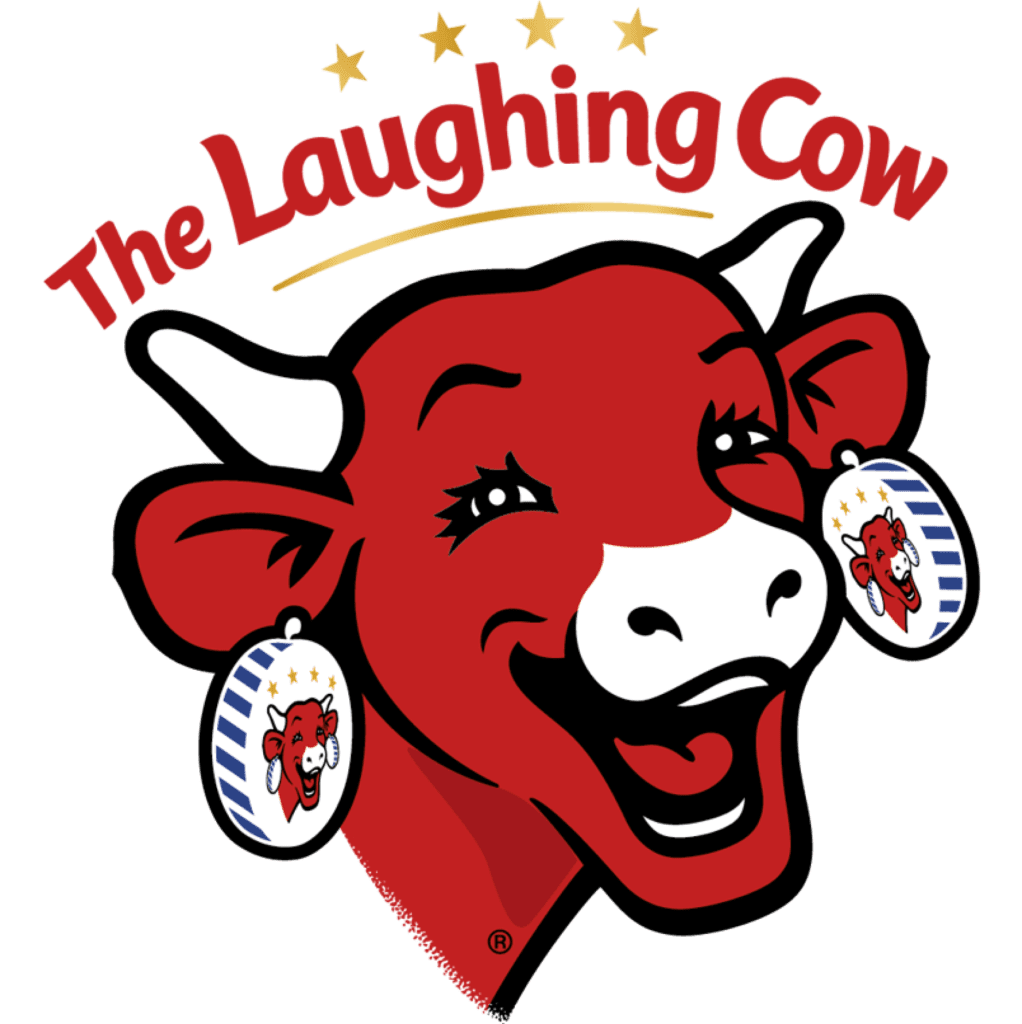 Ematic Solutions client image